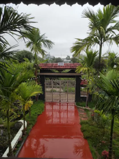 Ảnh Homestay Pleiku Phố