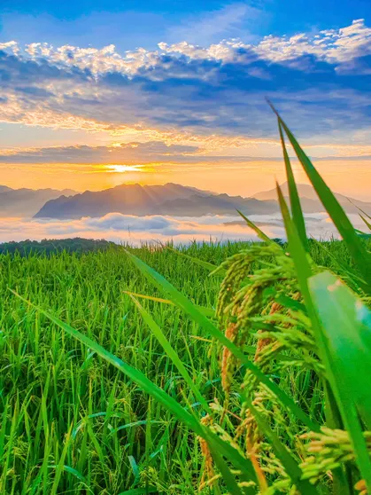 Ảnh Pù Luông Jungle Lodge