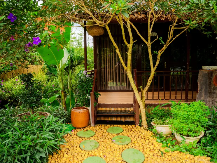 Ảnh Tĩnh Lạc Viên Homestay