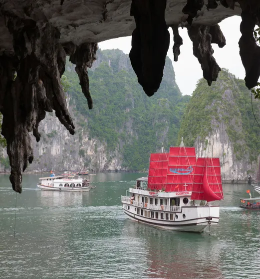 Ảnh Scorpion Cruise