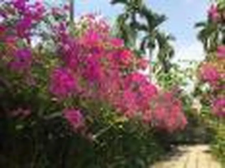 Ảnh La Maison de Campagne