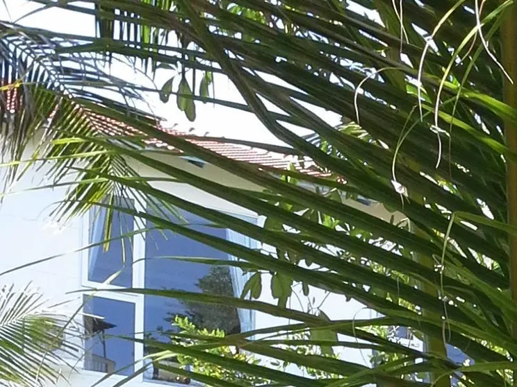 Ảnh Sea Lion Beach Resort & Spa Mui Ne