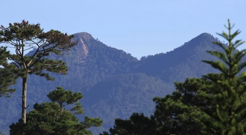 Ảnh Zen Cafe Dalat - Villa