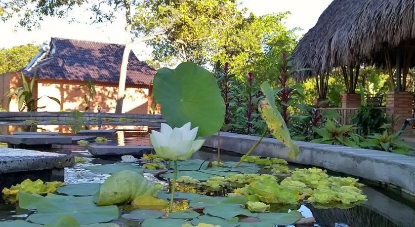 Ảnh Cat Tien Forest Call Lodge