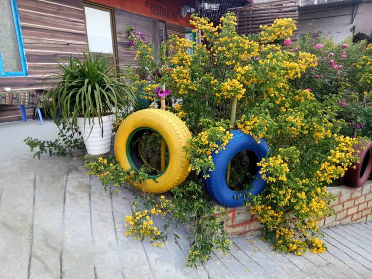 Ảnh Sapa Tatu Homestay