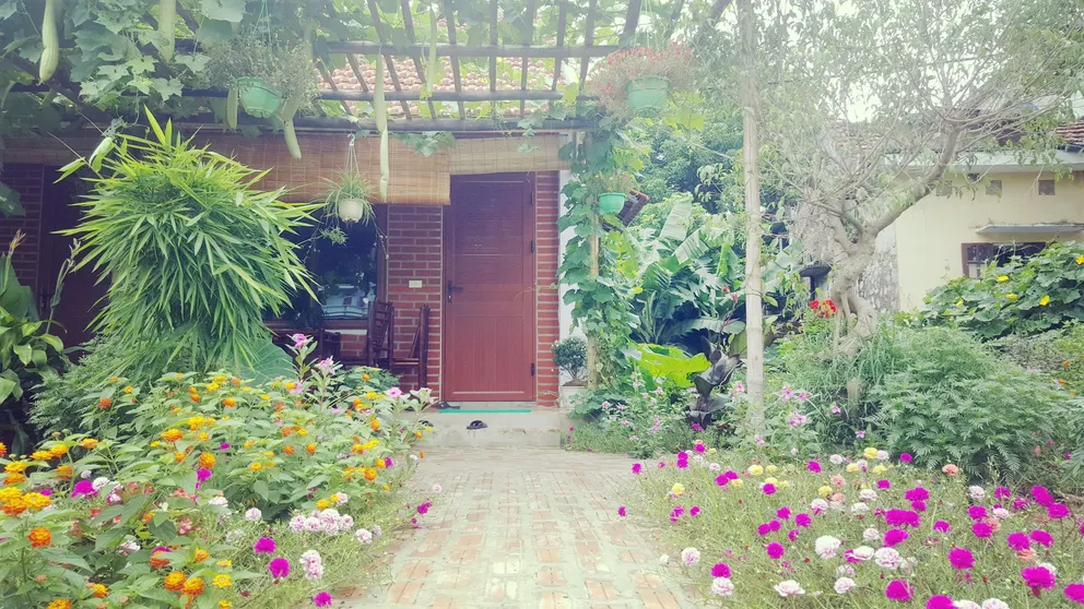 Ảnh Nhà nghỉ Greenland Ninh Bình (Ninh Binh Greenland Homestay)