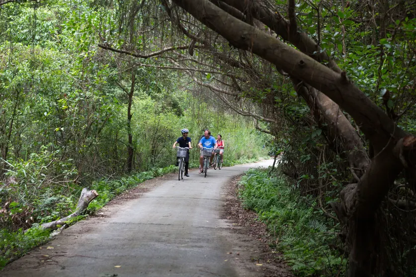 Ảnh Du thuyền Azalea
