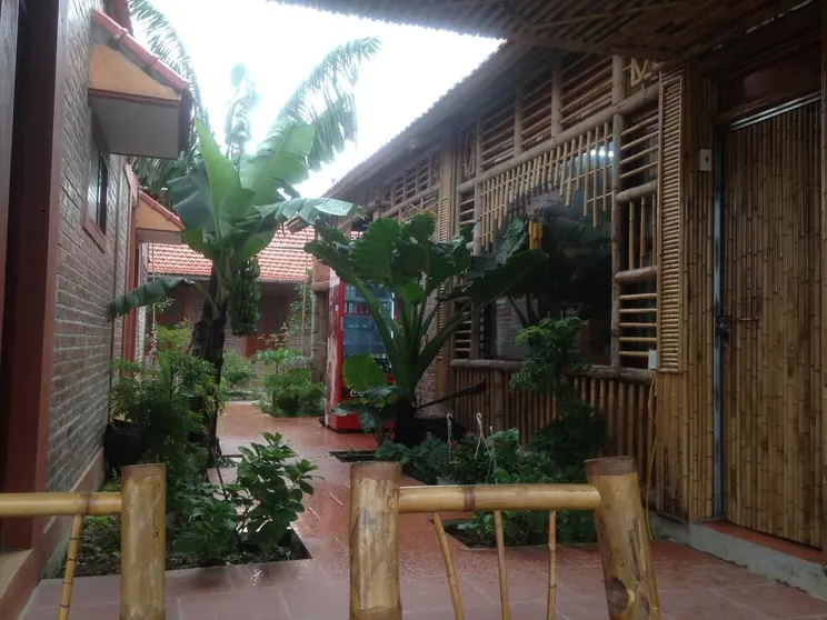 Ảnh Tam Coc Mountain View Homestay