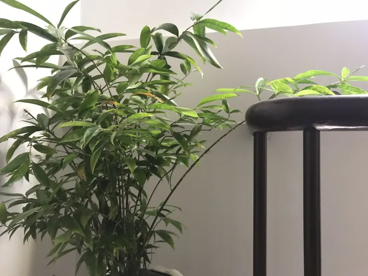 Ảnh Khách sạn Tam An