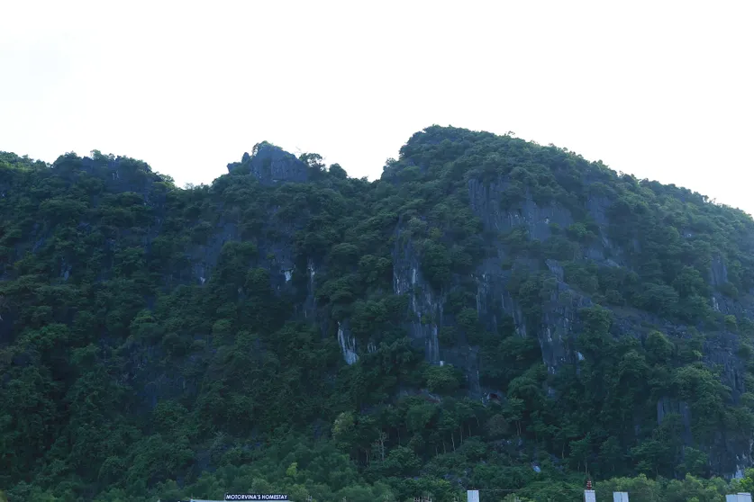 Ảnh Queen Ponaland Homestay