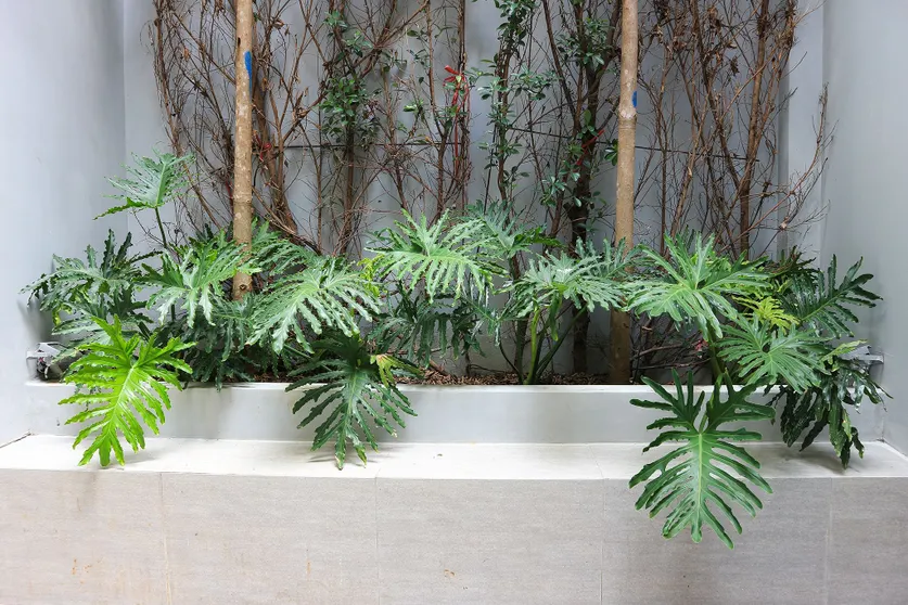 Ảnh RedDoorz Plus @ Le Van Sy Street 2