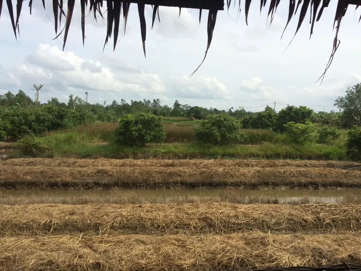 Ảnh Hometravel Mekong Cần Thơ (Hometravel Mekong Can Tho)