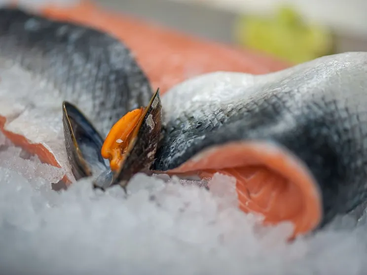 Ảnh Villa, two Bathrooms and a Washing Machine, Near Ostend