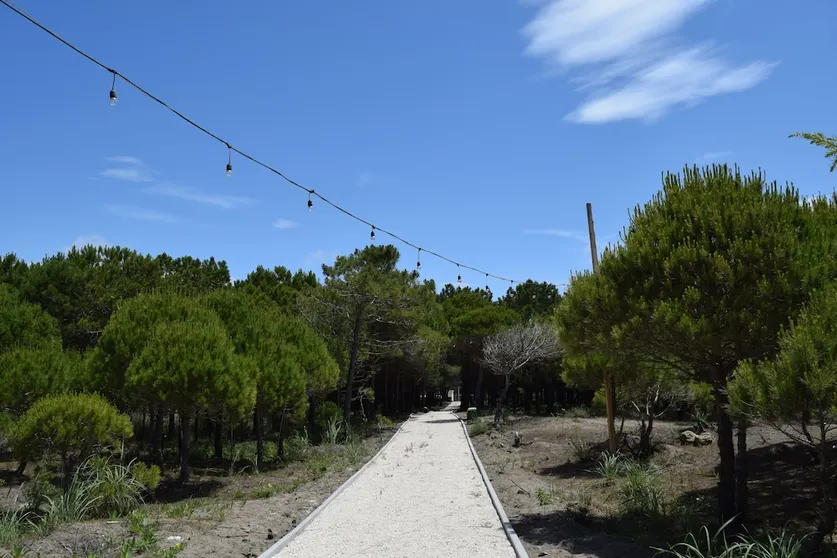 Ảnh Amber Hotel Albania