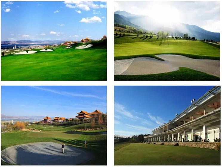 Ảnh Dali Art Golf Hotel