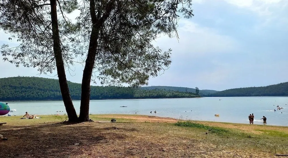 Ảnh Mimosa Village