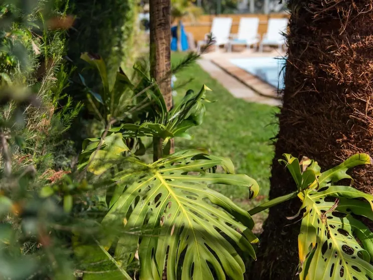 Ảnh Lvpremier LA1 Heated Pool Jacuzzi AC Garden