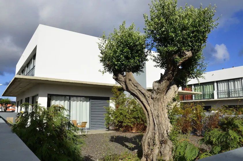 Ảnh Vilas Espirito Santo