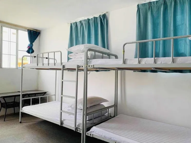 Ảnh Romantic Holiday Garden