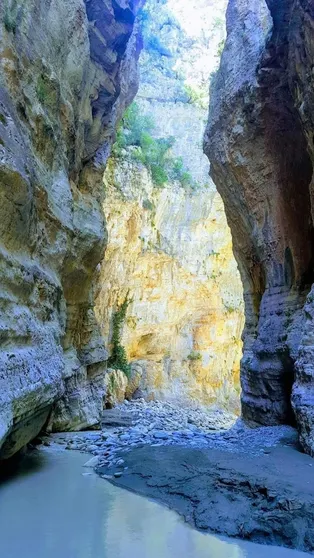 Ảnh Gold Guest House & Bar