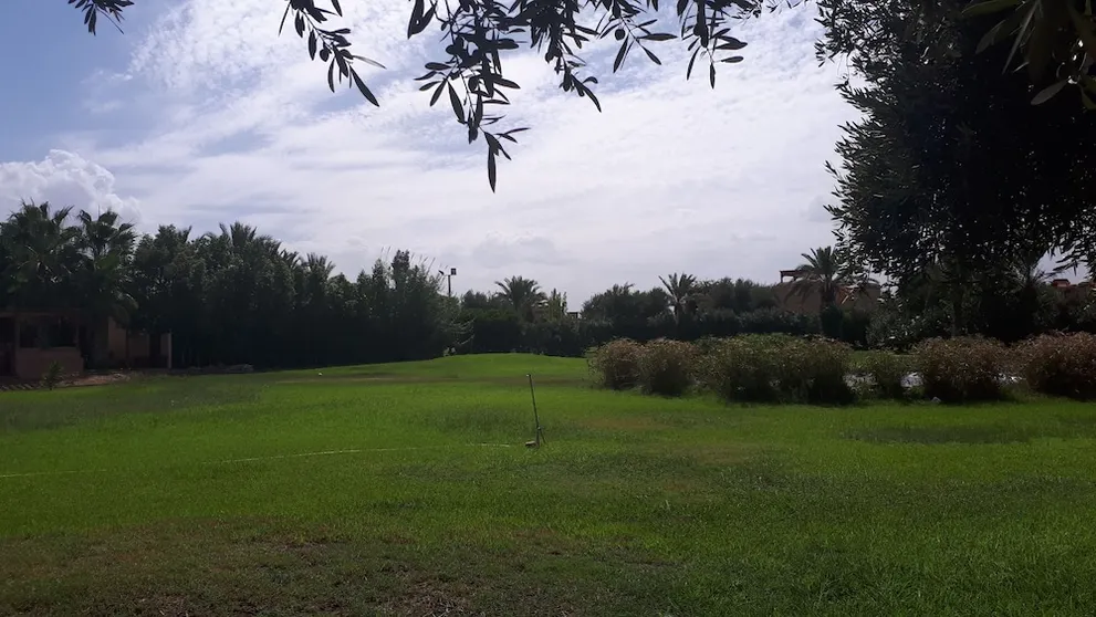 Ảnh Apple Villa 33