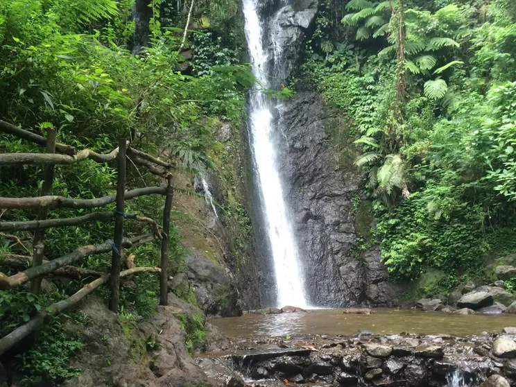 Ảnh Villa Griyanena