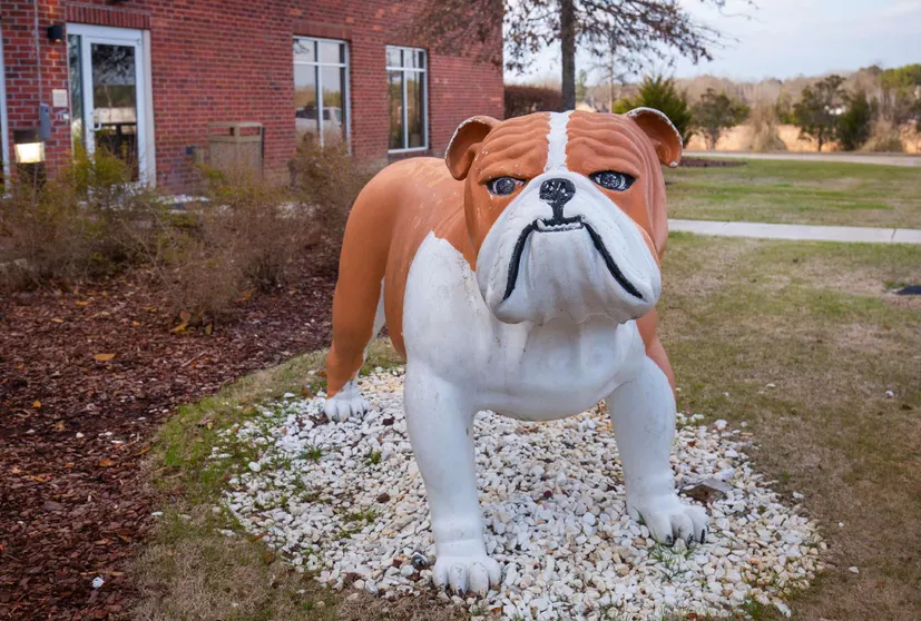 Ảnh Hilton Garden Inn Starkville