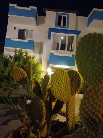 Ảnh THE COTTON HOUSE