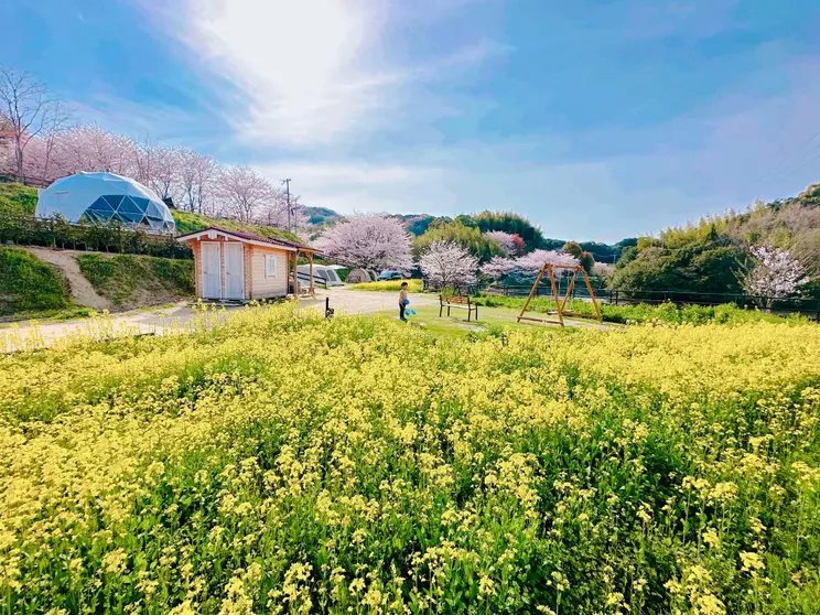 Ảnh MOUNTLAKE resort