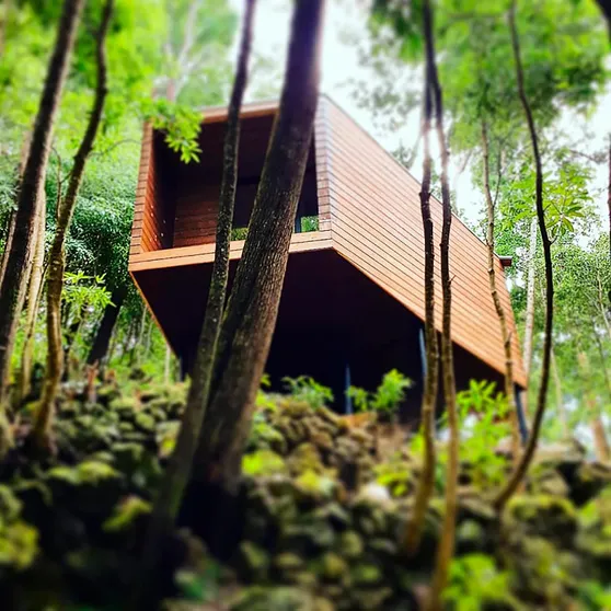 Ảnh Caparica Azores Ecolodge