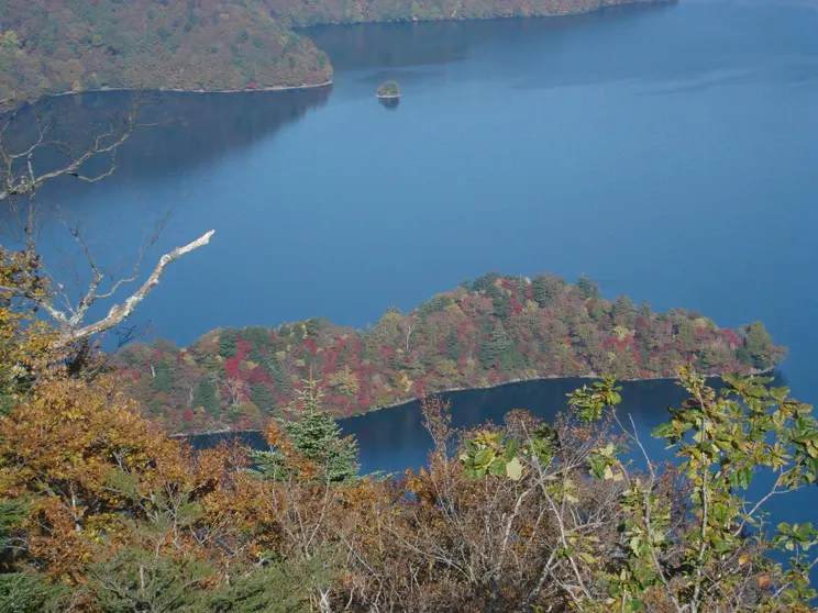 Ảnh Nikko Astraea Hotel