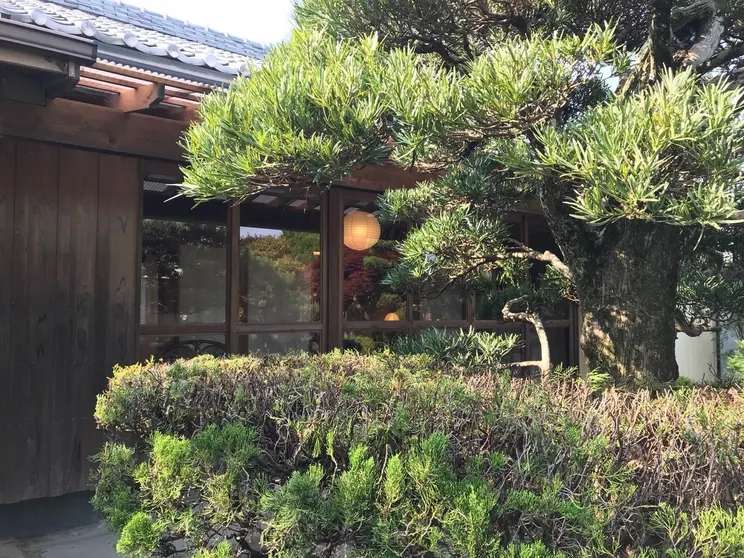 Ảnh WAGARANCHI KAI