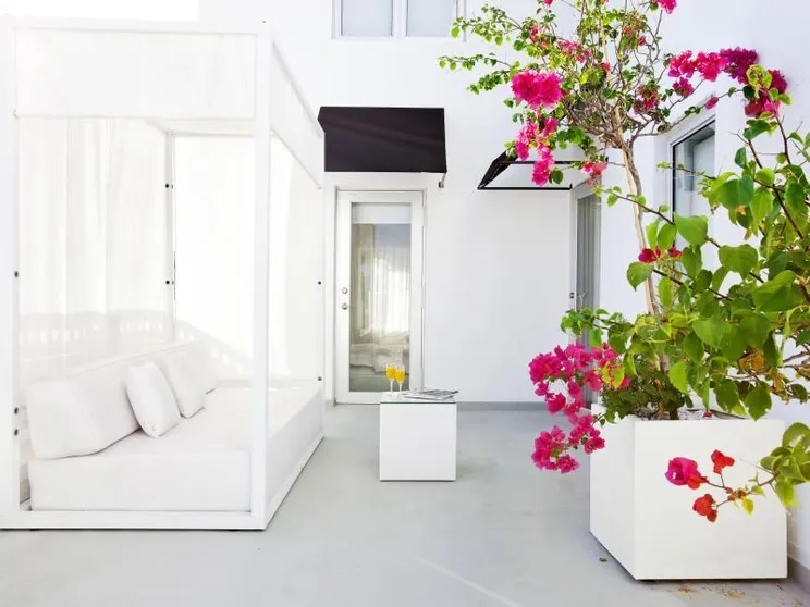 Ảnh Blanc Kara- Adults Only