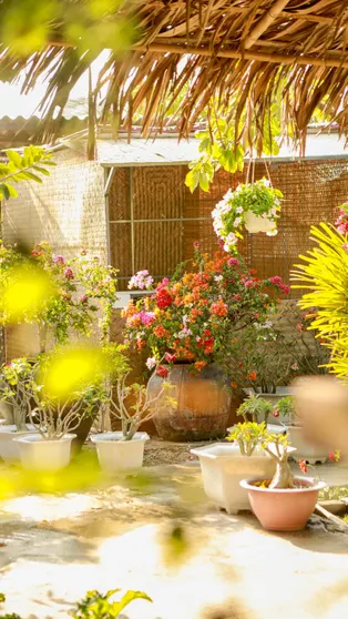 Ảnh Kiwi's Homestay & Cafe