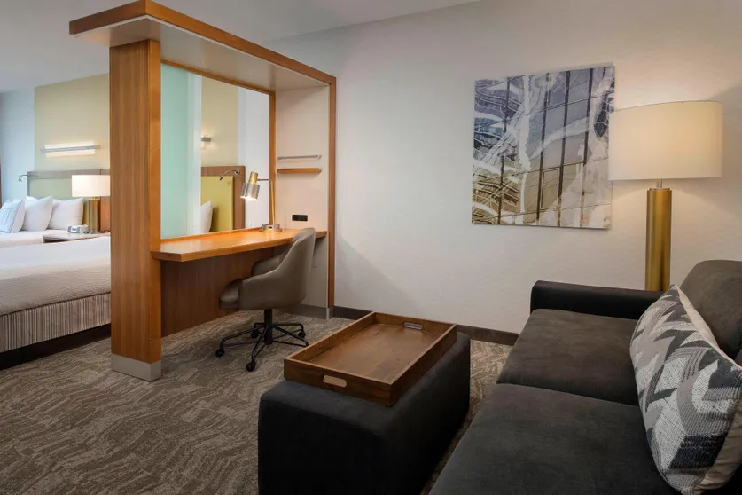 Ảnh SpringHill Suites by Marriott Alexandria