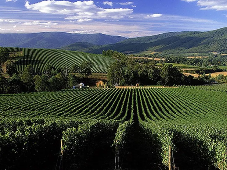 Ảnh Eagles View Bed and Breakfast