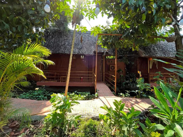 Ảnh Tây Đô Homestay Cần Thơ