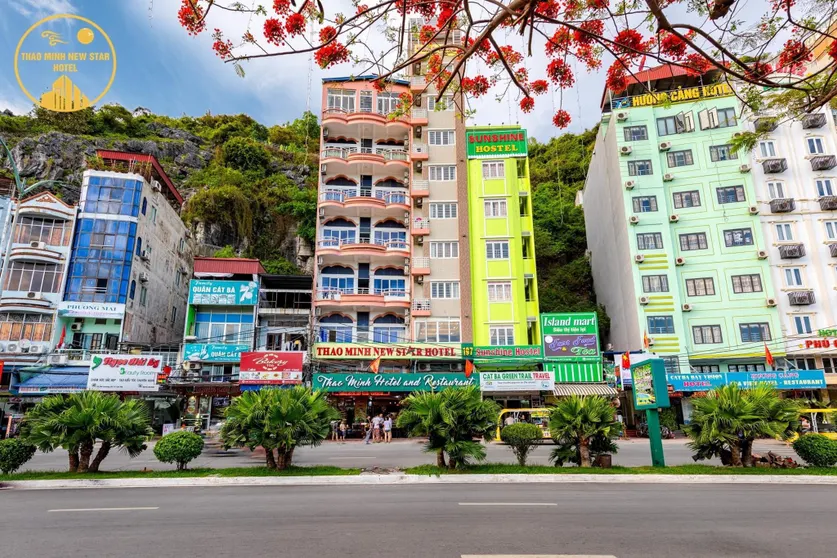 Ảnh Central in Town - Thao Minh New Star Hotel