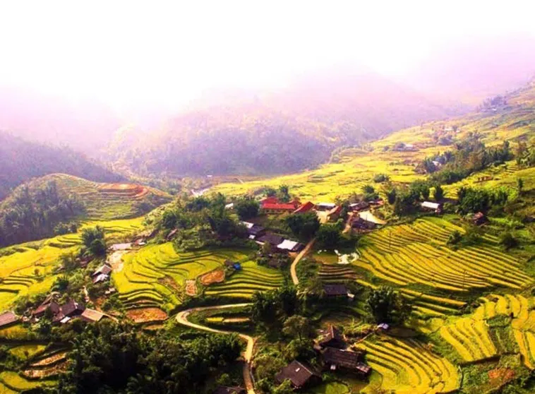 Ảnh Nhật's Sapa Central Hostel