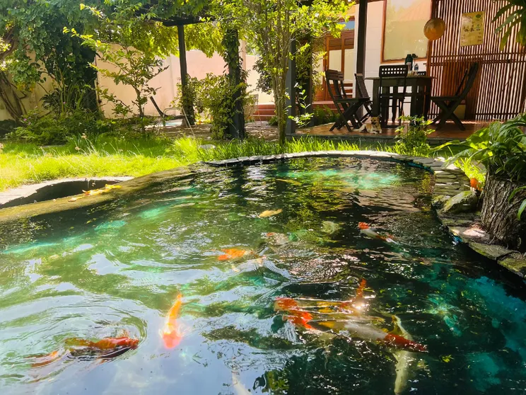 Ảnh Ami Homestay Mui Ne