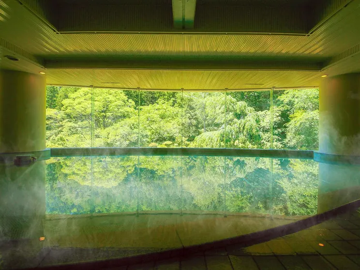 Ảnh Ooedo Onsen Monogatari Higashiyama Grand Hotel