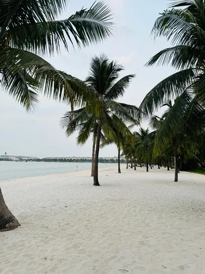 Ảnh Căn hộ 31 m² 1 phòng ngủ, 1 phòng tắm riêng ở Đa Tốn