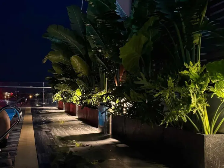 Ảnh Duke Home - Serviced Apartments - Sophia Center