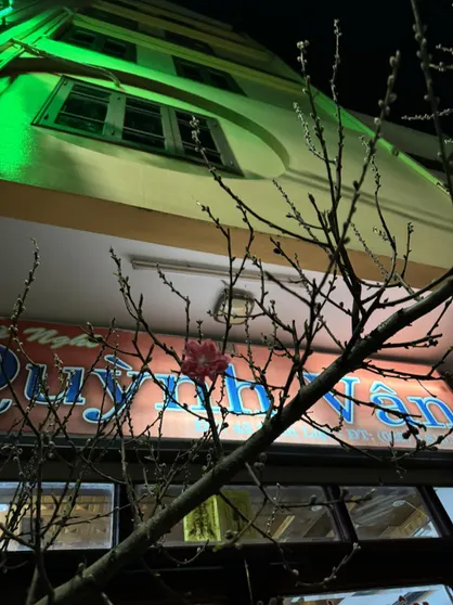 Ảnh nha nghi Quynh Van