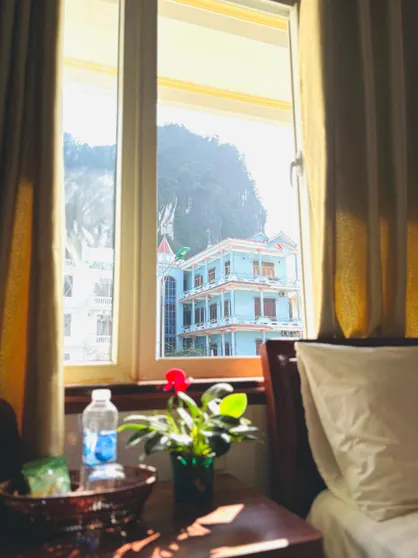 Ảnh The Palm Lodge