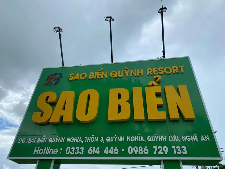 Ảnh Sao Biển Quỳnh