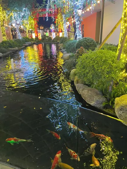 Ảnh Wyndham Thanh Thủy - Condotel studio