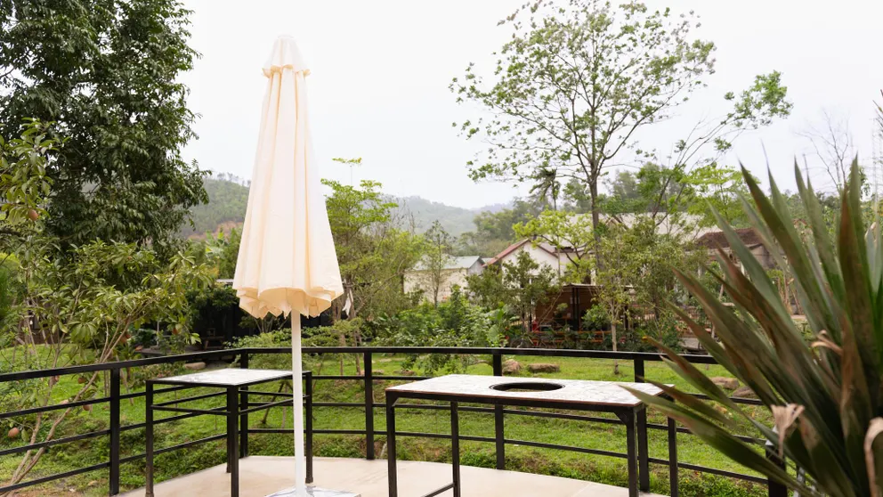 Ảnh Hoa Bên Suối