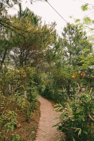 Ảnh The Homie Sóc Sơn