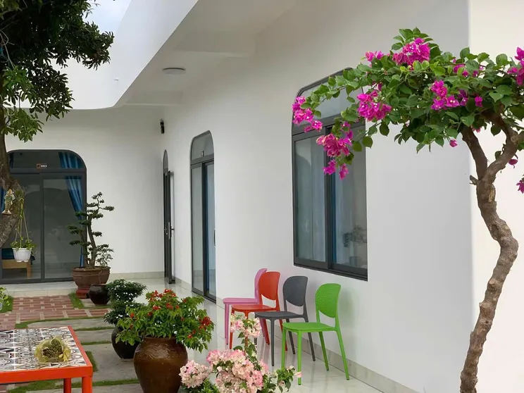 Ảnh Phu Quy MYNO Homestay